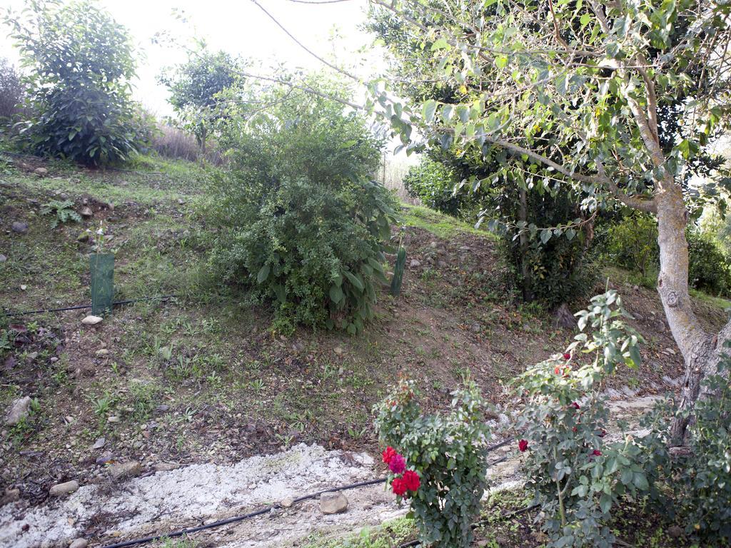 Casa Rural Vega El Dorado San Pablo Eksteriør billede